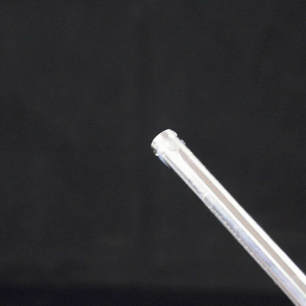 TaRiss's 尿道プラグ 尿道ブジー 貫通式 取り外し可 常時使用可 ステンレス