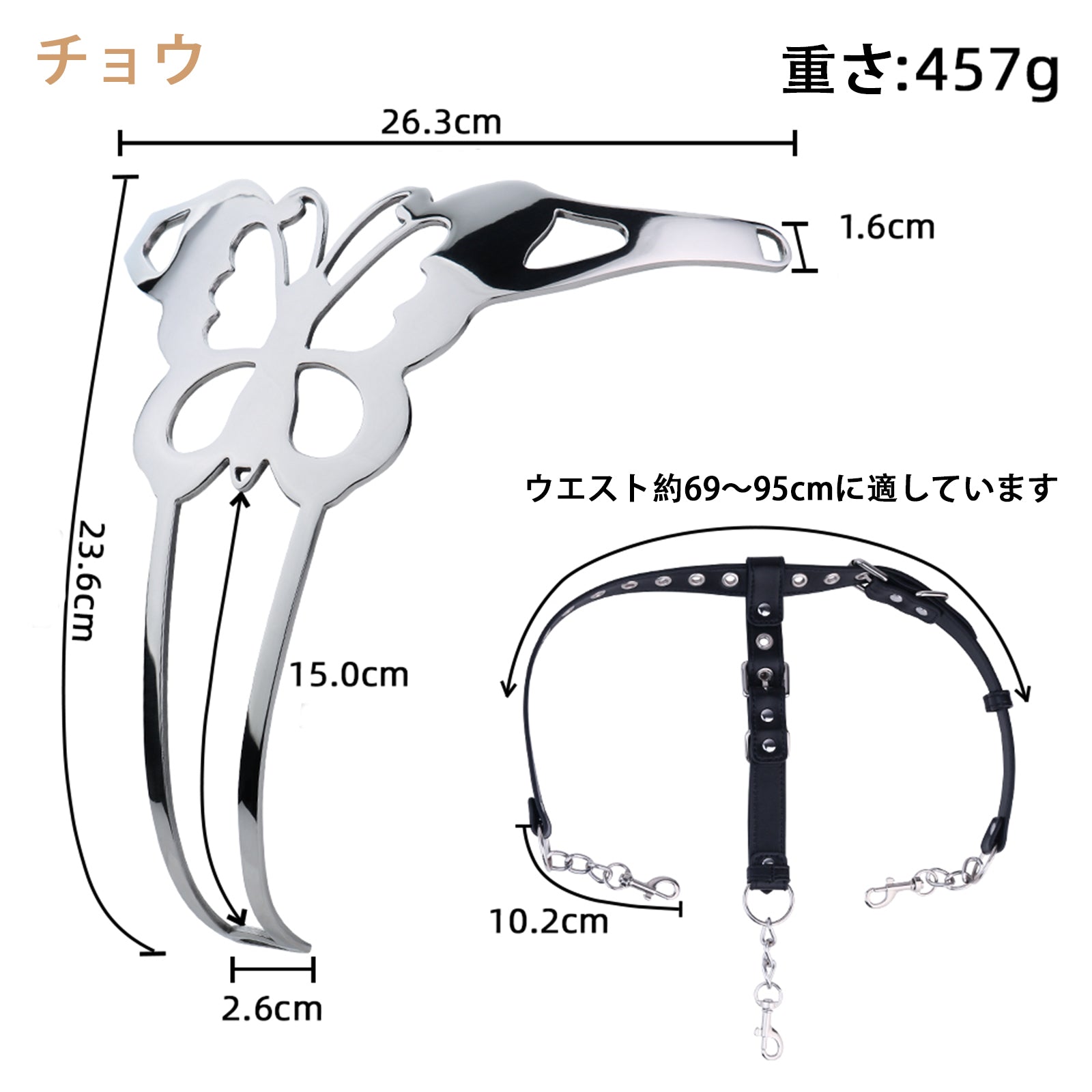 MinYn 貞操帯 T型 ベルト付き 取り外し可 ステンレス製 SM - TaRiss's