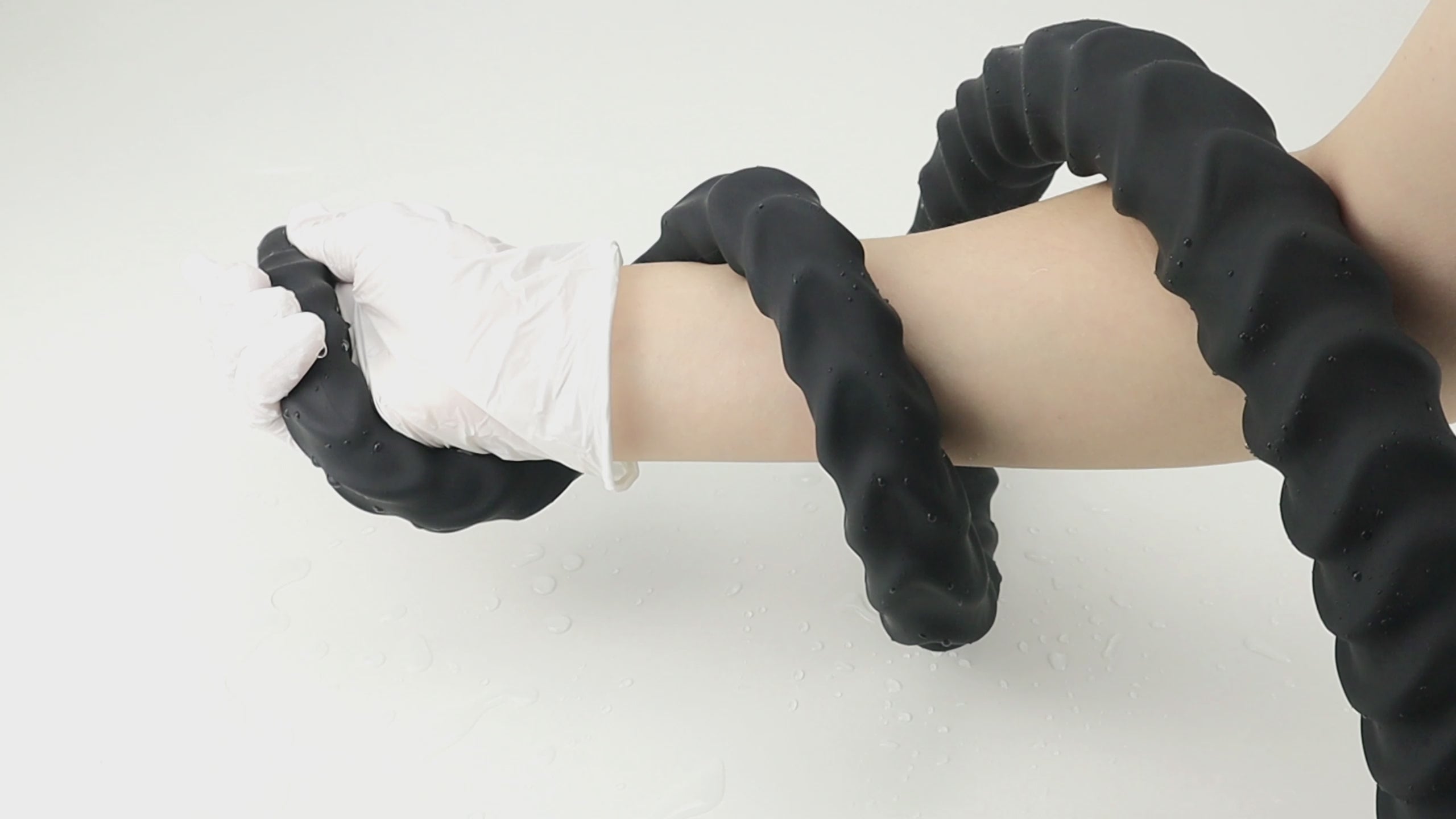 動画を読み込む: 