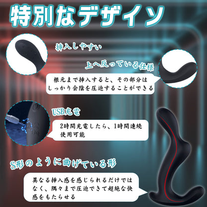 TaRiss's アナルバイブ アナルビーズ バイブレータ リモコン付き 3点同時刺激可能 10種類振動モード 特別な台座 シリコン - TaRiss's