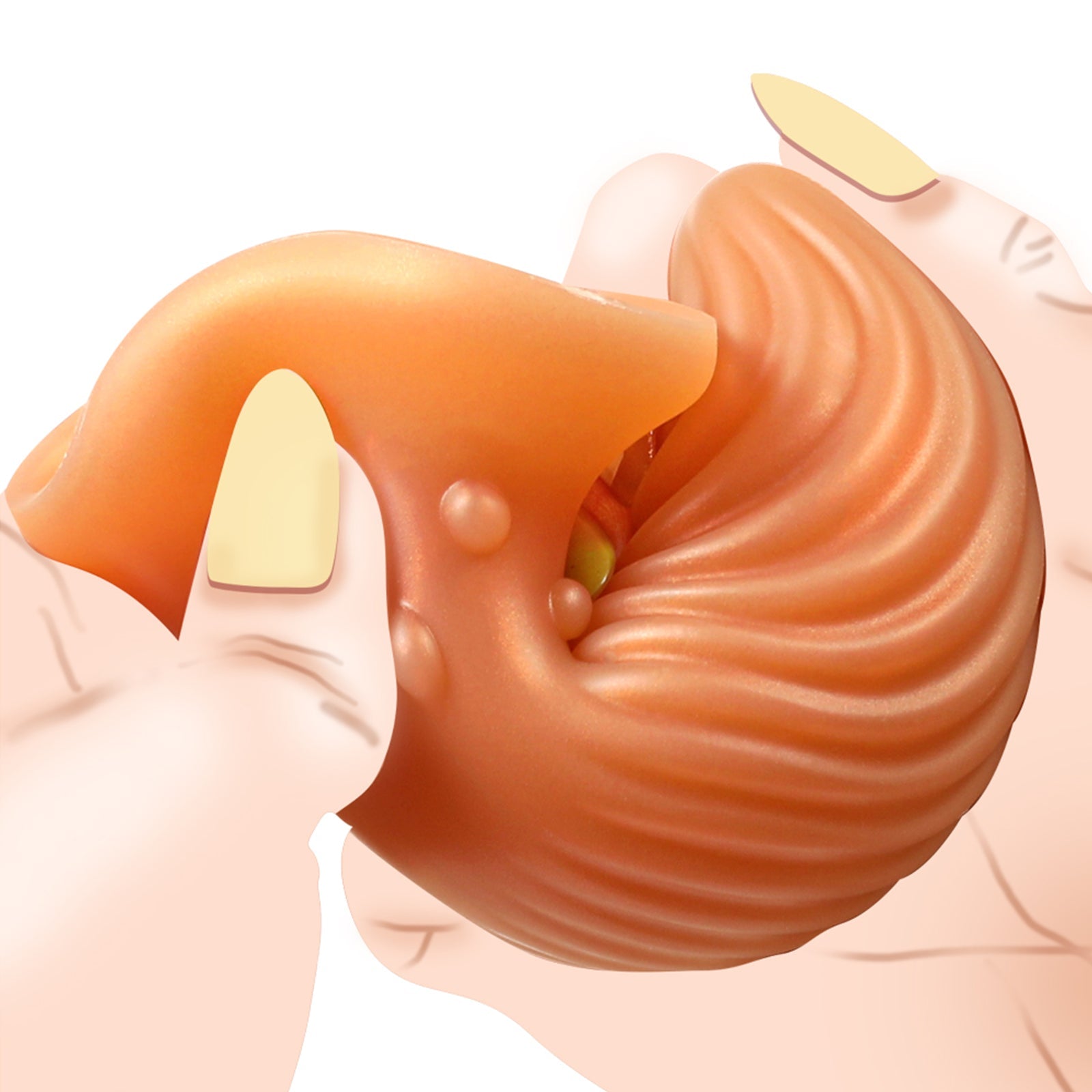 TaRiss's ぎょうらい アナルプラグ アナル拡張 蕾形 吸盤付き イボと凹凸付き シリコン - TaRiss's