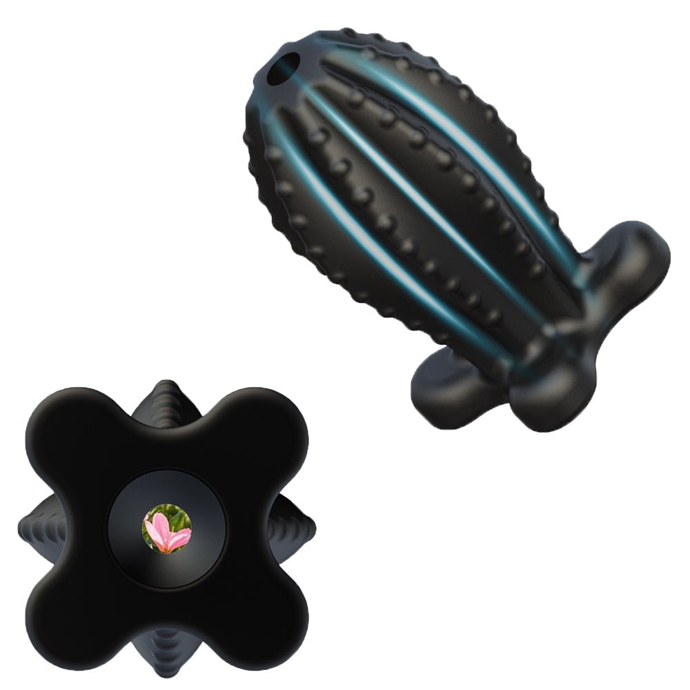 TaRiss's サボテン 貫通式アナルプラグ 浣腸用可 蓋付き 多種用途 シリコン ブラック - TaRiss's