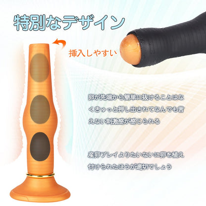 TaRiss's 5点セット サンラン器 - TaRiss's